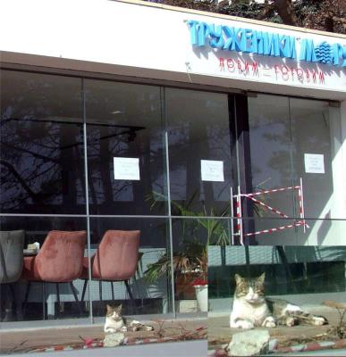 Прикрепленное изображение: 007.jpg